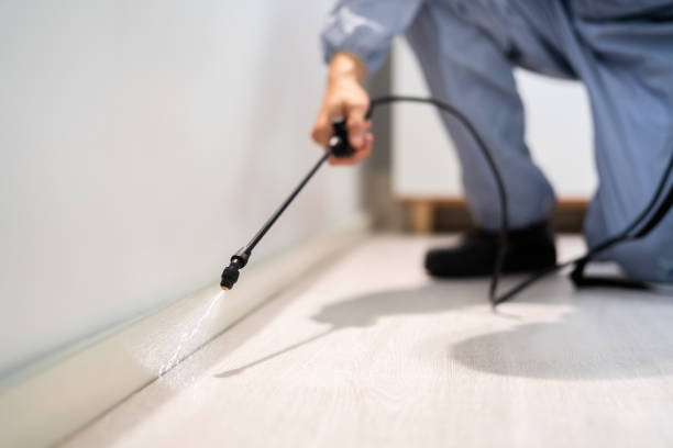 Licensed Rodent Control service in Jefferson County County, MS - Nex Pest Control